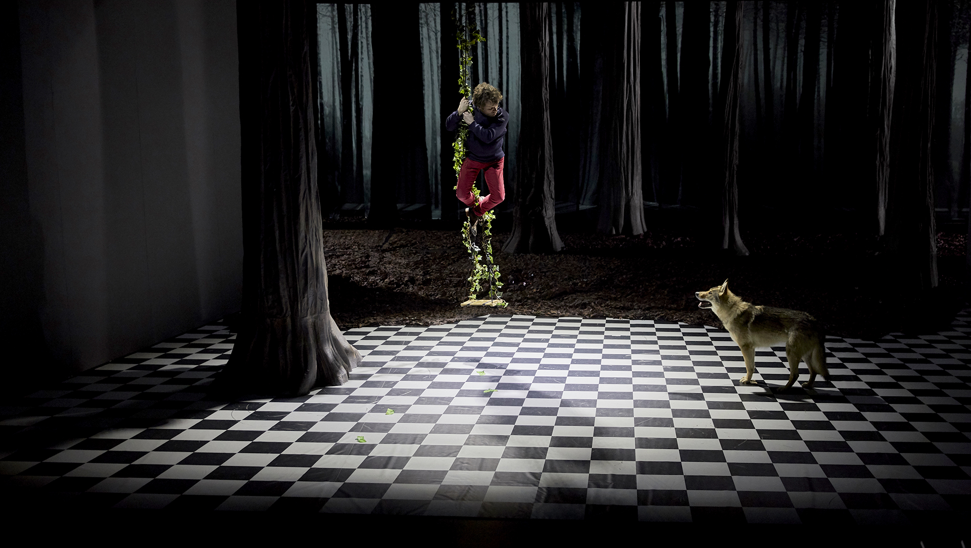 LE BRUIT DES LOUPS