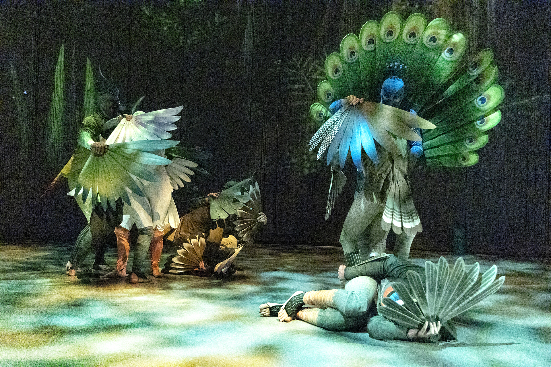 La Conference Des Oiseaux 01