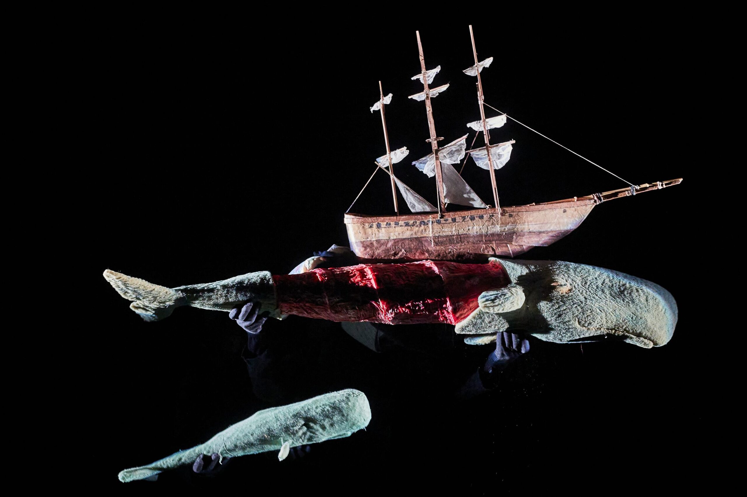 Moby Dick 04